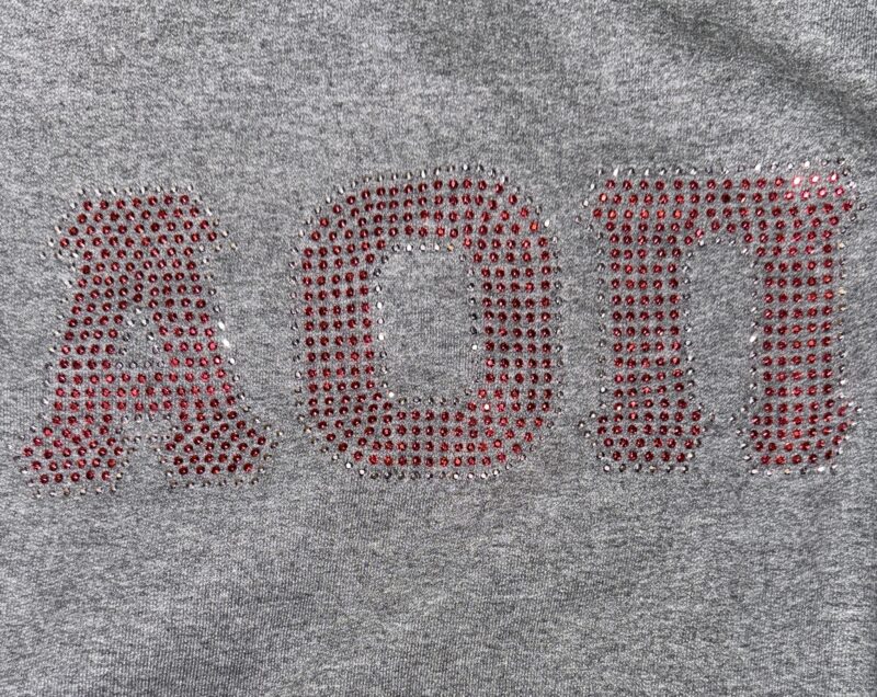 Crop Fitted Bling T – AOPi – Alpha Omicron Pi – Max and Ginos Clothing